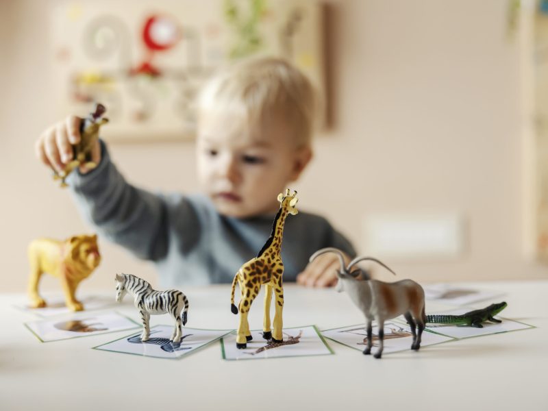 A kindergartener is learning animals by playing with educational toys in nursery.